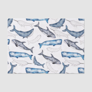 Papier Mousseline Baleines d'eau