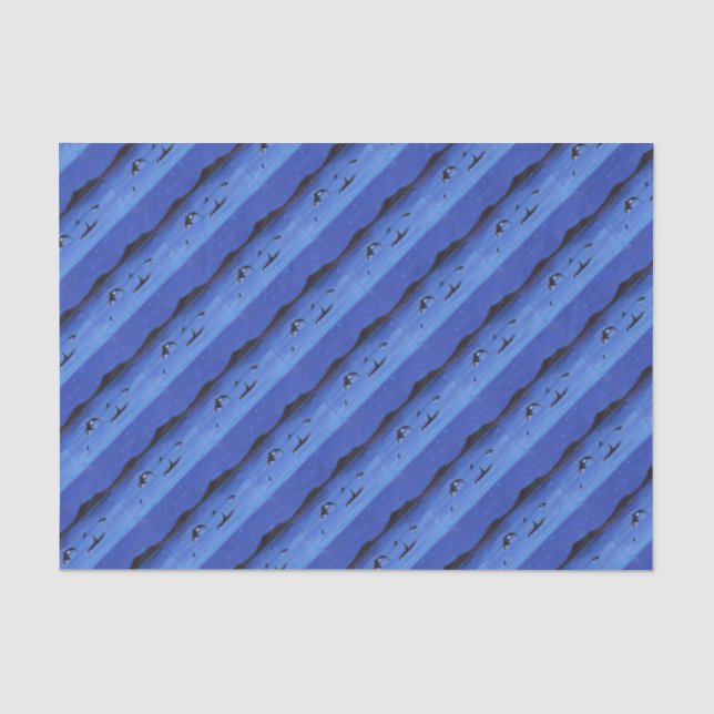 Papier Mousseline Baleines tueuses (Recto)