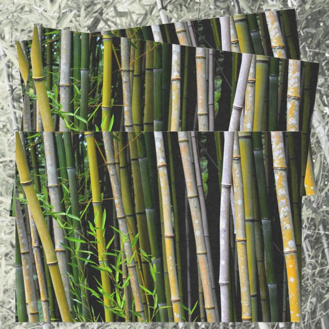 Papier Mousseline Bamboo Grove Photographie naturelle (Créateur téléchargé)