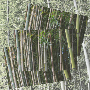 Papier Mousseline Bambou Arbres Grove Photographie naturelle
