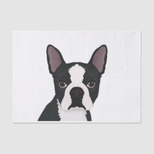 Papier Mousseline bande dessinée de terrier de Boston