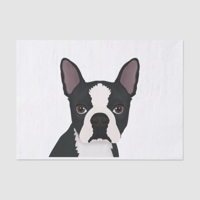 Papier Mousseline bande dessinée de terrier de Boston (Recto)