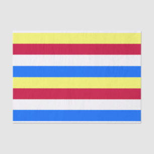 Papier Mousseline Bandes jaunes, rouges, blanches et bleues
