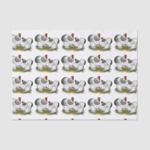 Papier Mousseline Bantams colombiens de Cochin