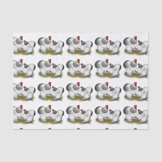 Papier Mousseline Bantams colombiens de Cochin (Recto)