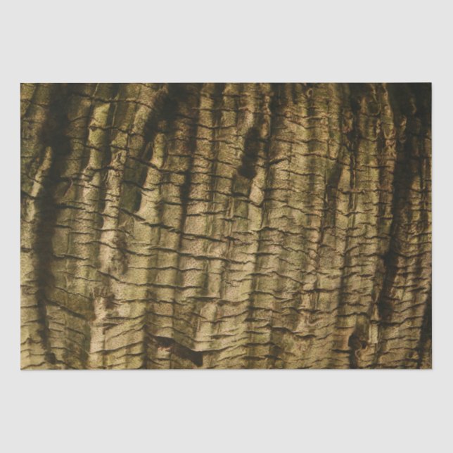 Papier Mousseline Barre de palmiers (Recto)