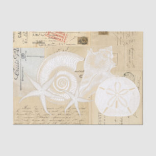 Papier Mousseline Beach Seashells Crème Carte Postale Française Tiss