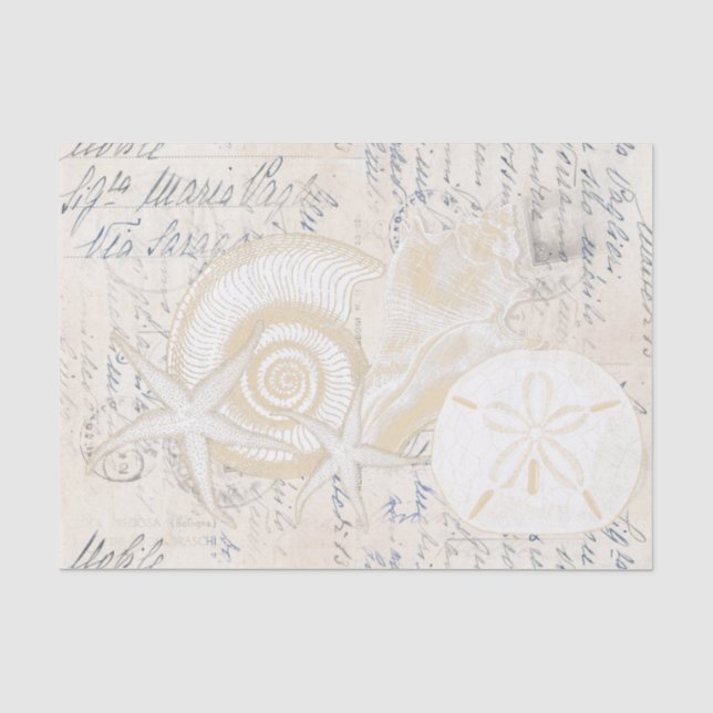 Papier Mousseline Beach Seashells Crème Italien Écriture Tissu Papie (Recto)