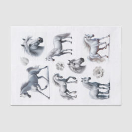 Papier Mousseline Beau Cheval Blanc Coupes Fussy Art