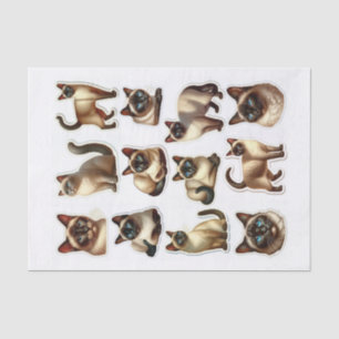 Papier Mousseline Beau Ensemble de chats siamois Coupes Fussy
