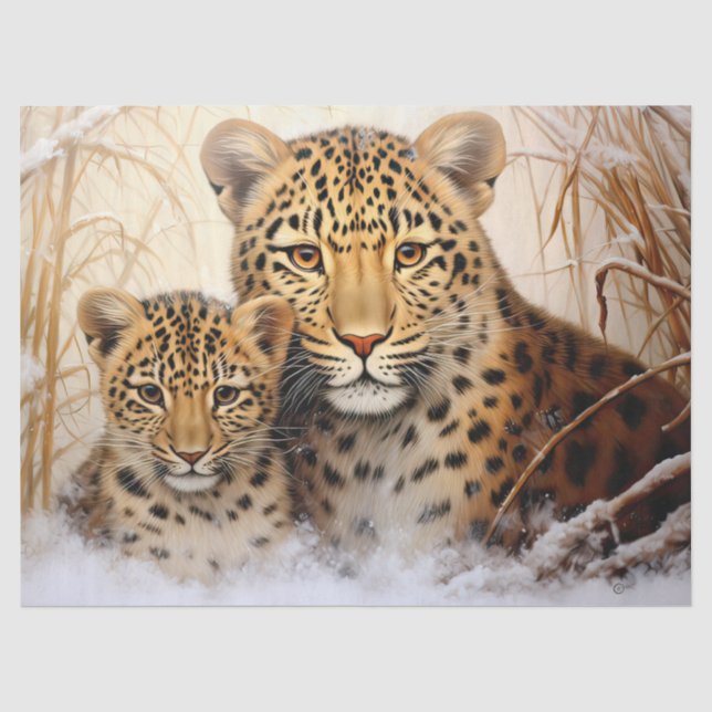 Papier Mousseline Beau Leopards d'hiver Découpage papier de tissus (Recto)