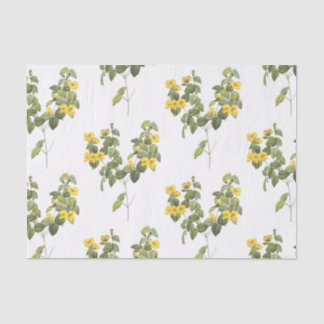 Papier Mousseline Beau Motif à pois plat