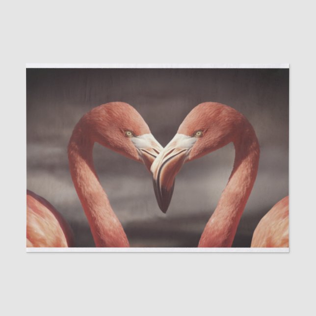 Papier Mousseline Beau papier de tissu Flamant rose rose (Recto)