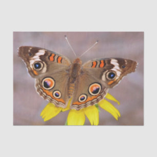 Papier Mousseline Beau papillon sur Fleur Jaune