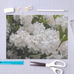 Papier Mousseline Beau Rhododendron blanc fleurit Floral
