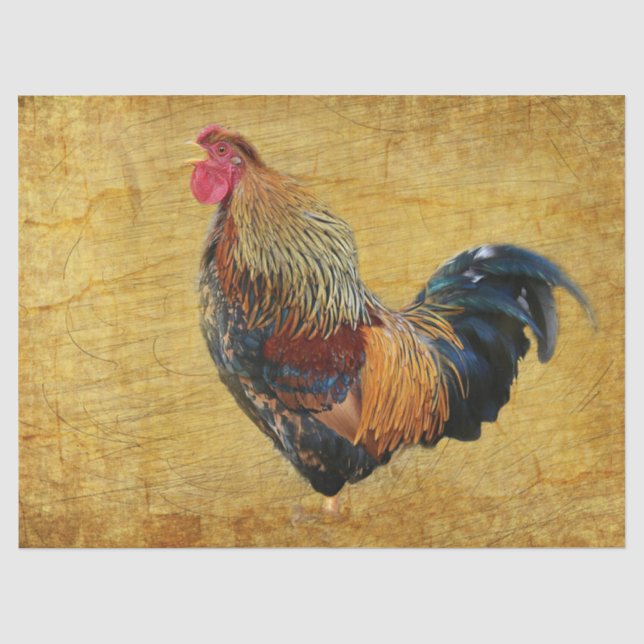 Papier Mousseline Beau Rooster Rustique (Recto)