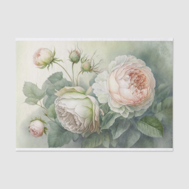 Papier Mousseline Beau Roses de choux roses (Recto)