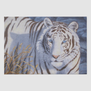 Papier Mousseline Beau tigre blanc aux yeux bleu cristal