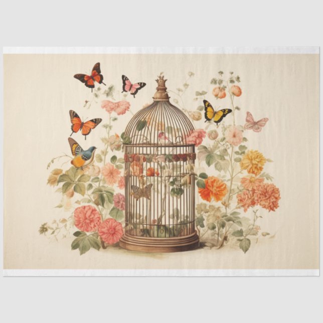 Papier Mousseline Beautés débordantes : Découpage de cage d'oiseaux (Recto)