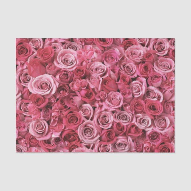 Papier Mousseline Beaux roses roses (Recto)
