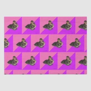 Papier Mousseline Bébé Canards sur framboise rose et sorbet pourpre