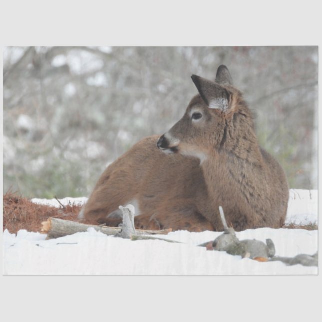 Papier Mousseline Bébé cerf en manteau d'hiver (Recto)