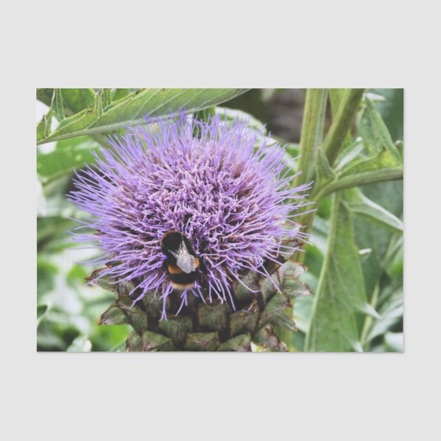 PAPIER MOUSSELINE BEE (Recto)