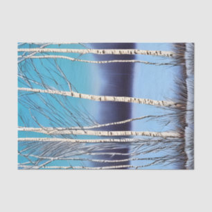 Papier Mousseline Belle bouleau d'hiver