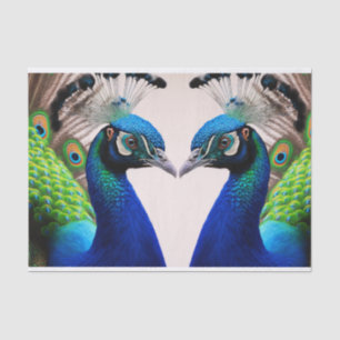 Papier Mousseline Belle couleur Peacock Paon Bird faune