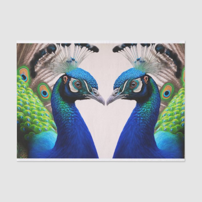 Papier Mousseline Belle couleur Peacock Paon Bird faune (Recto)