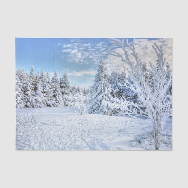 Papier Mousseline Belle Forêt de Neige d'hiver (Recto)