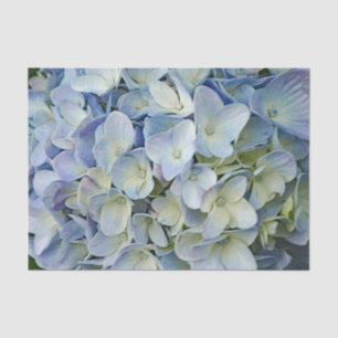 Papier Mousseline Belle Hydrangée Bleue Fleurs Photo