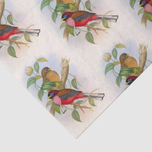 Papier Mousseline Belle illustration Vintage d'oiseaux Découpage