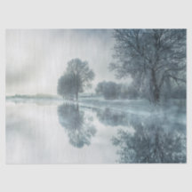Belle nature hivernale Arbres Lac Fog