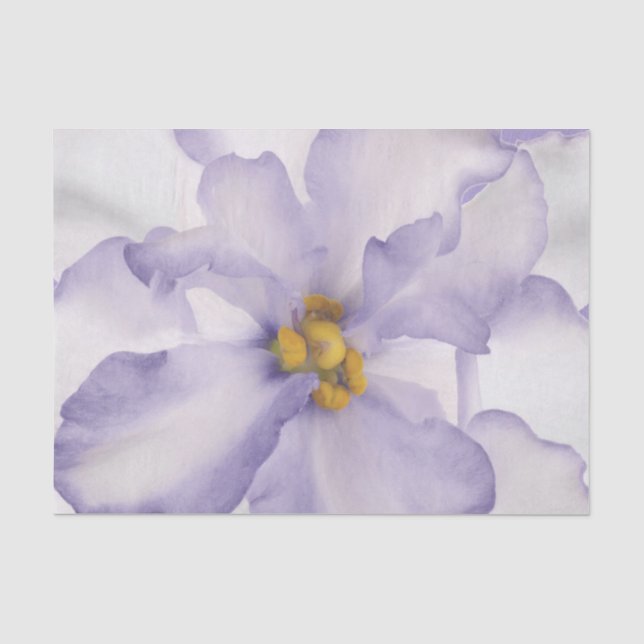 Papier Mousseline Belle Orchidée de Lavande (Recto)