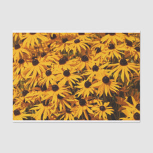 Papier Mousseline Belle Rudbeckias Conflowers Jaunes