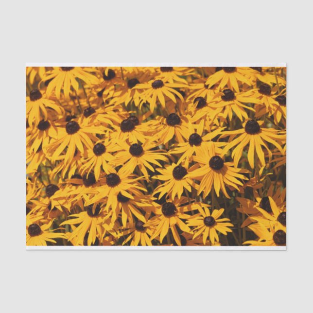 Papier Mousseline Belle Rudbeckias Conflowers Jaunes (Recto)