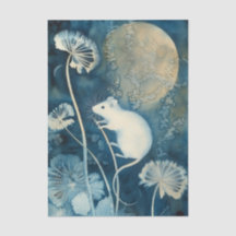 Belle souris blanche impression cyanotype