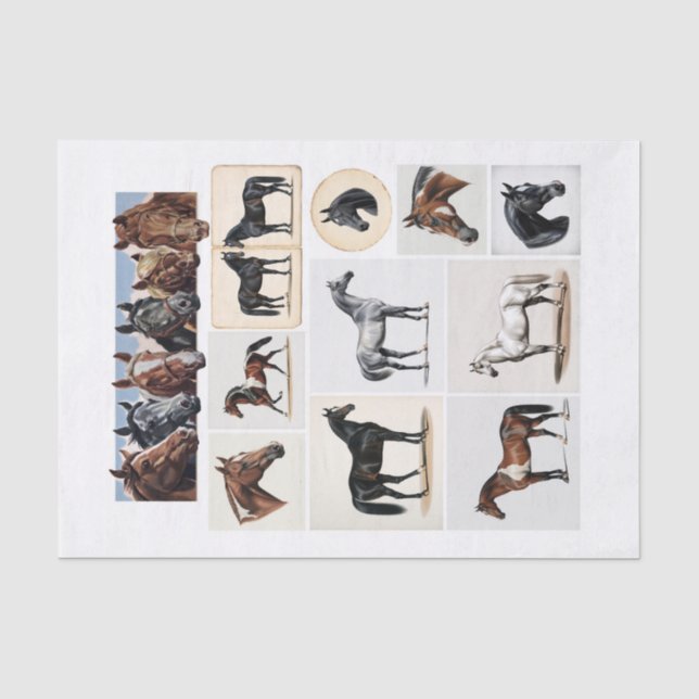 Papier Mousseline Belles illustrations de chevaux et Ephemera (Recto)