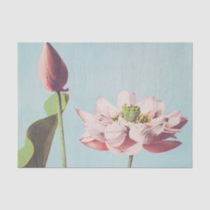 Papier Mousseline Belles impressions photomécaniques de fleurs Lotus