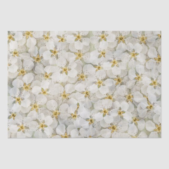Papier Mousseline Belles petites grappes de fleurs blanches rustique (Recto)
