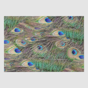 Papier Mousseline Belles plumes de paquebot