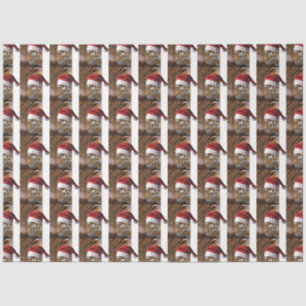 Papier Mousseline Bengale Tiger Père Noël