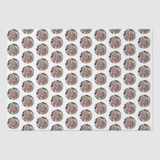 Papier Mousseline Biggie Bulldog Circles Animal Gram