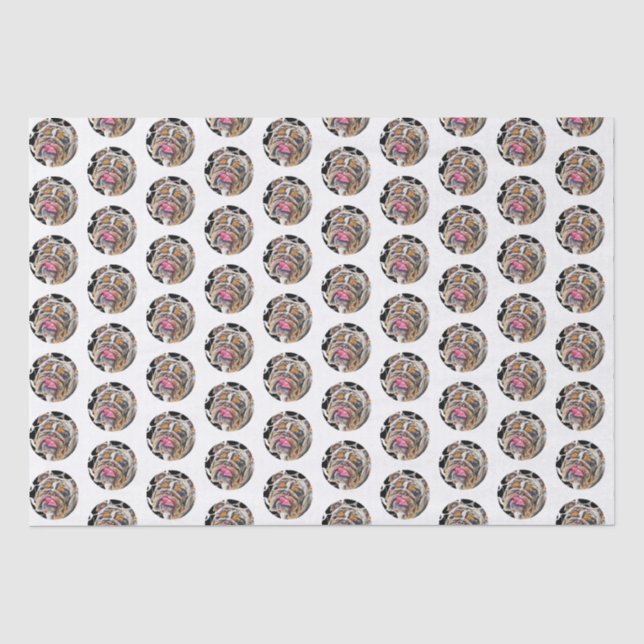 Papier Mousseline Biggie Bulldog Circles Animal Gram (Recto)