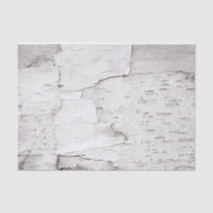 Papier Mousseline Birch Bark Tree White Rustic Country Woodland