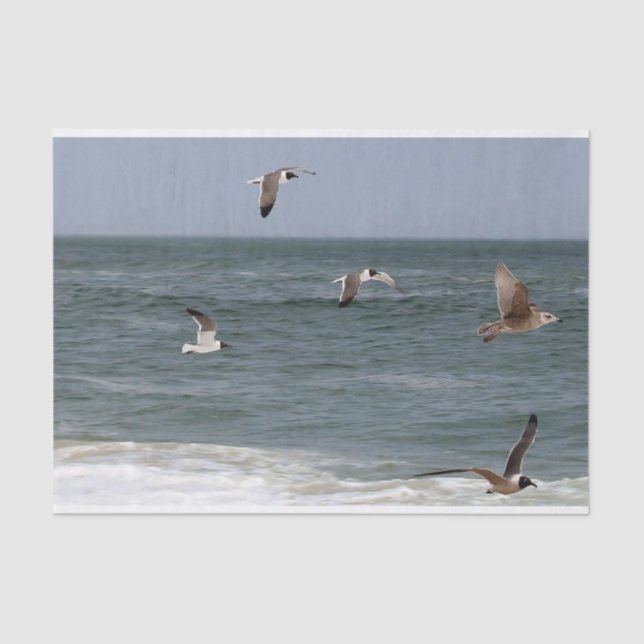 Papier Mousseline Birds in Flight by Shirley Taylor (Recto)