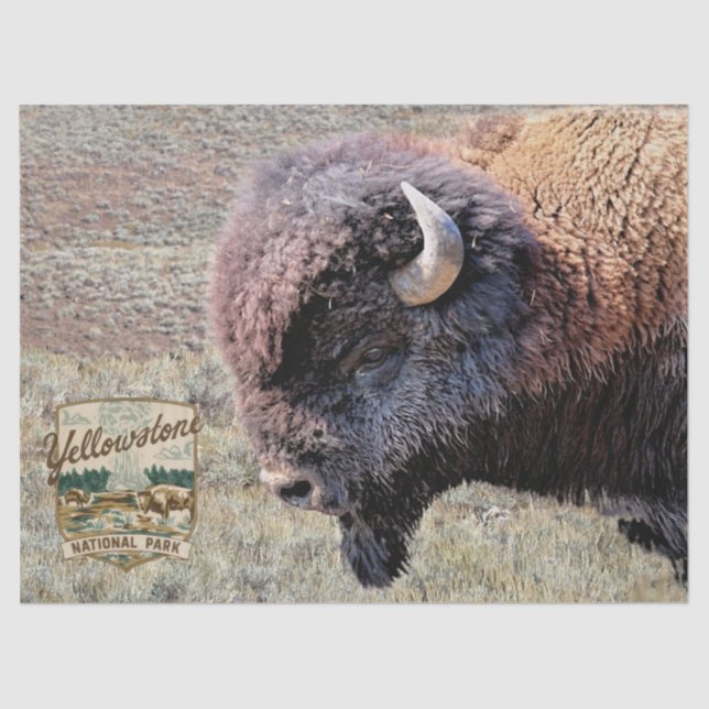 Papier Mousseline Bison de Yellowstone avec logo du parc (Recto)