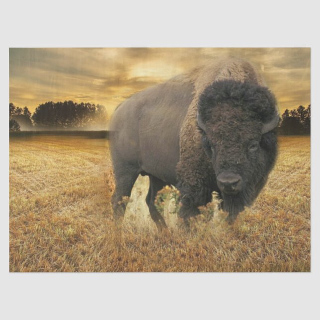 Papier Mousseline Bison Prairie (Recto)