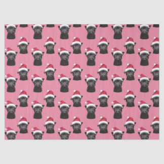 Papier Mousseline Black French Buldog Pink Tissu Paper